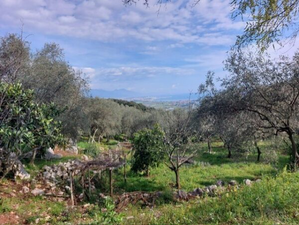 Rustico via Vincenzo Monti, Ameglia