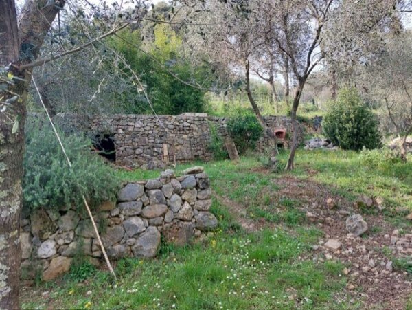 Rustico via Vincenzo Monti, Ameglia