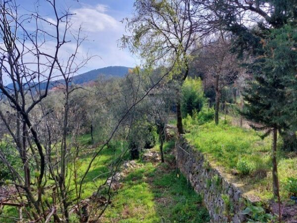 Rustico via Vincenzo Monti, Ameglia