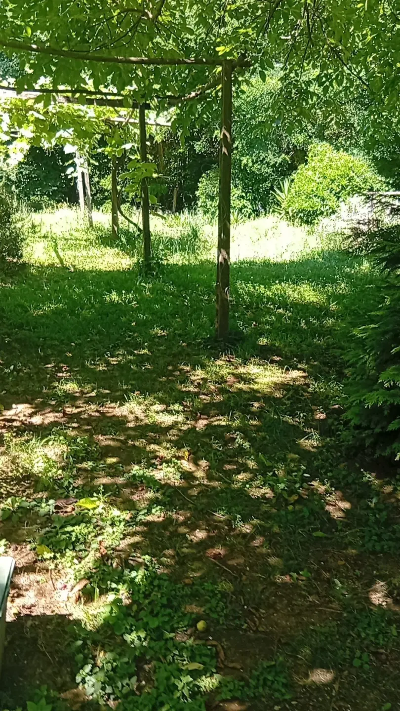 Immagine per Rustico in vendita a Pietrasanta via Strettoia