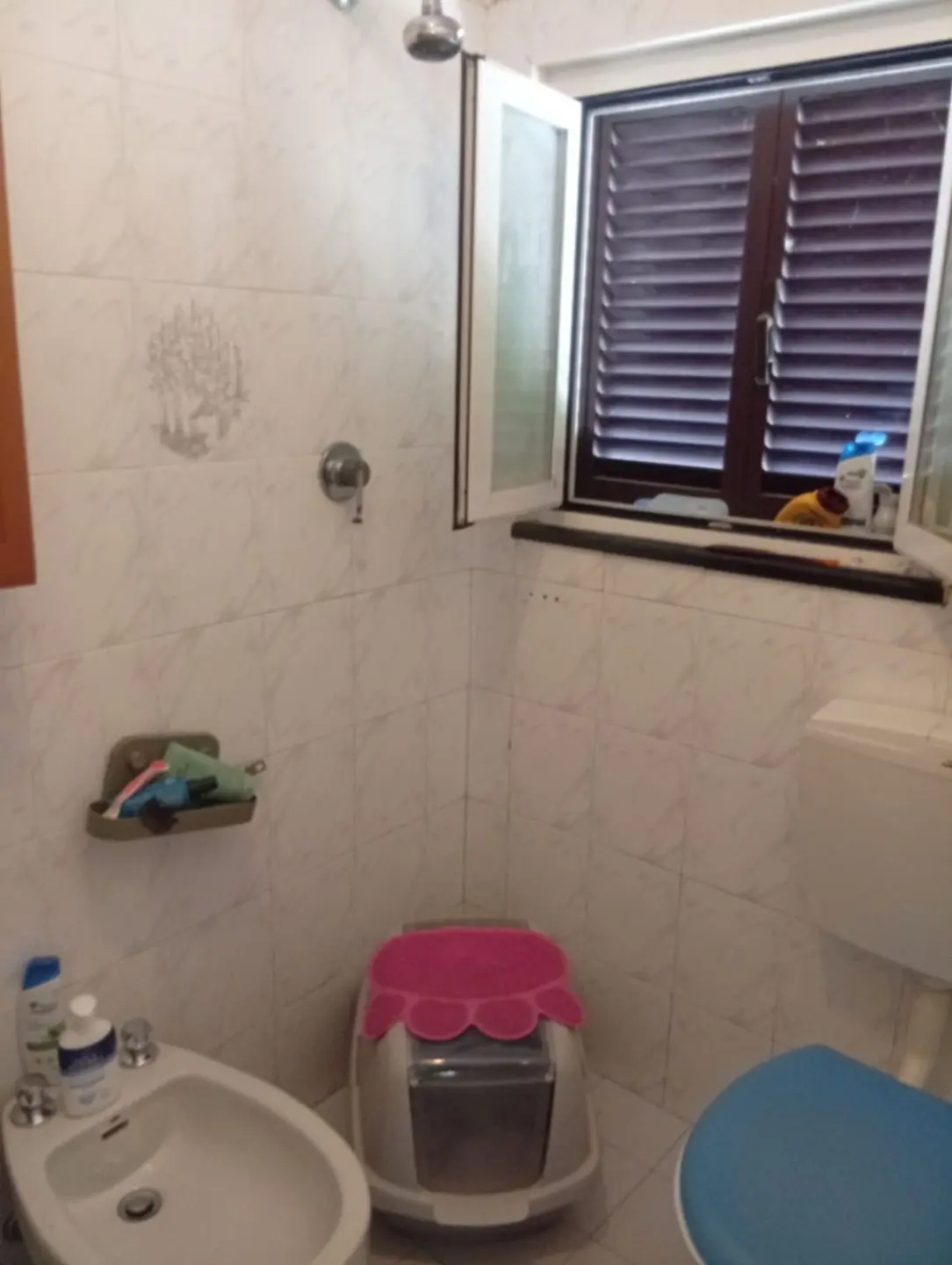 Immagine per Rustico in vendita a Pietrasanta via Strettoia