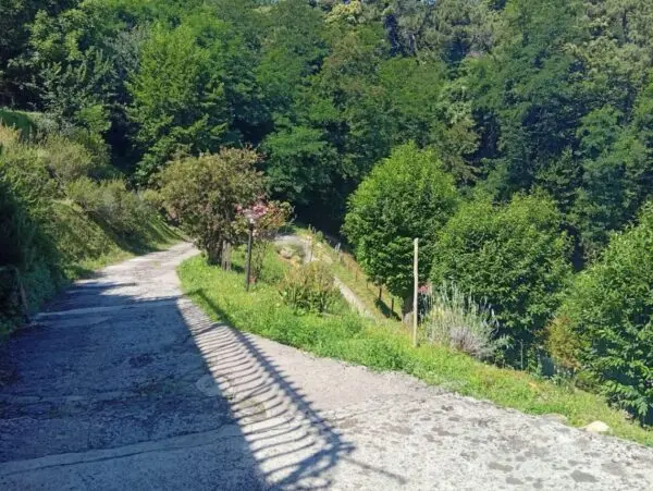 Rustico via Strettoia, Pietrasanta