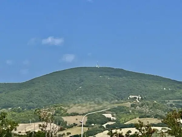 Immagine per Bilocale in vendita a Camerano via Loretana