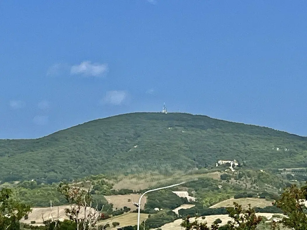 Immagine per Bilocale in vendita a Camerano via Loretana