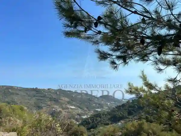 Immagine per Villa trifamiliare in vendita a Soldano strada Fullavin