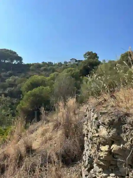 Villa Trifamiliare strada Fullavin, Soldano
