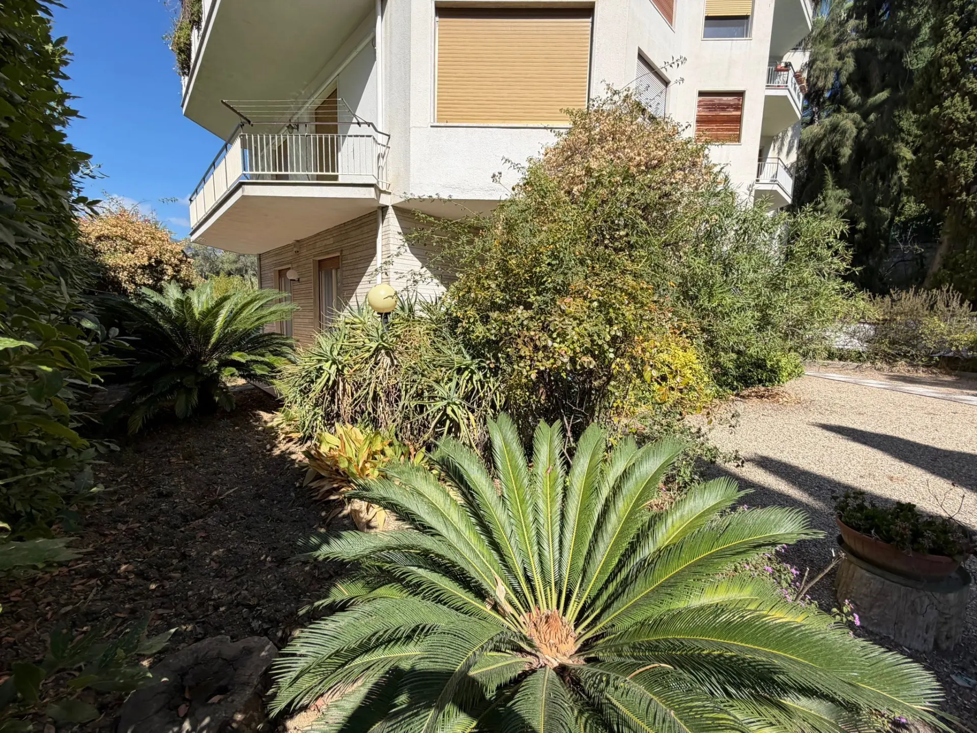 Immagine per Quadrilocale in vendita a Sanremo via Franco Norero 5