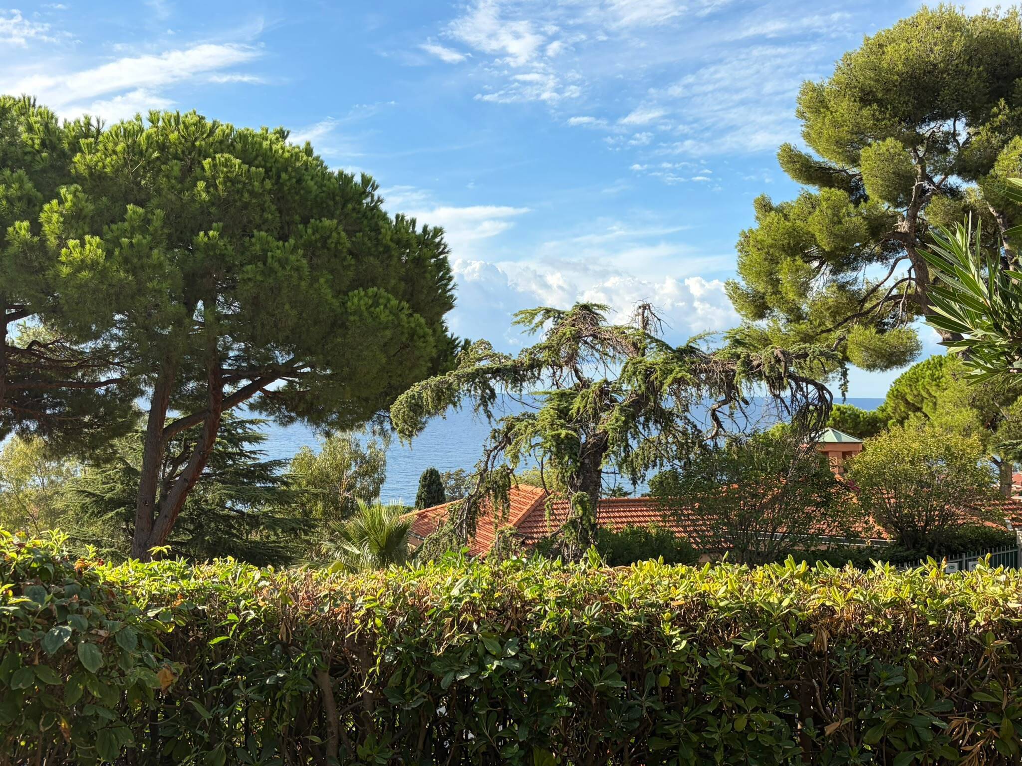 Immagine per Trilocale in vendita a Sanremo strada Privata Peiranze 12