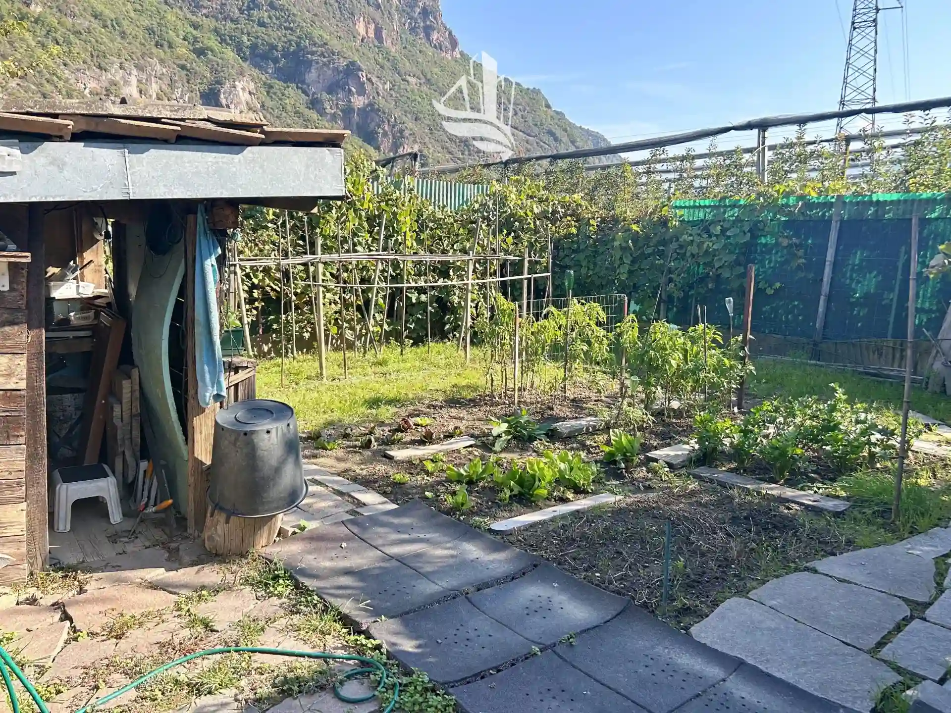 Immagine per Villa in vendita a Bolzano