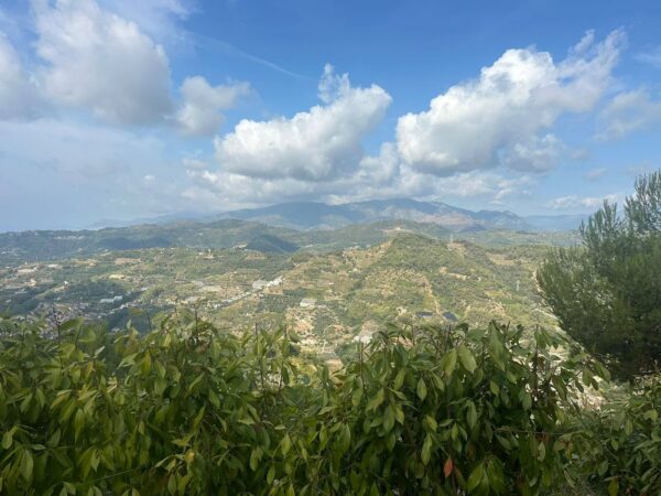 Immagine per Villa in vendita a Soldano