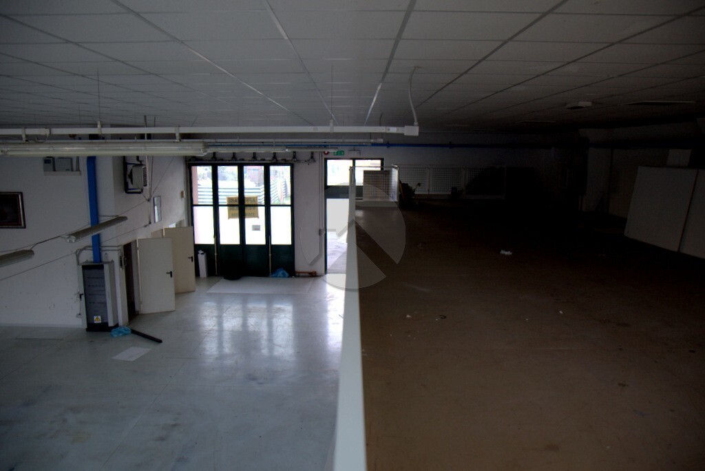 Immagine per Industriale in vendita a Lucca via Delle Città Gemelle