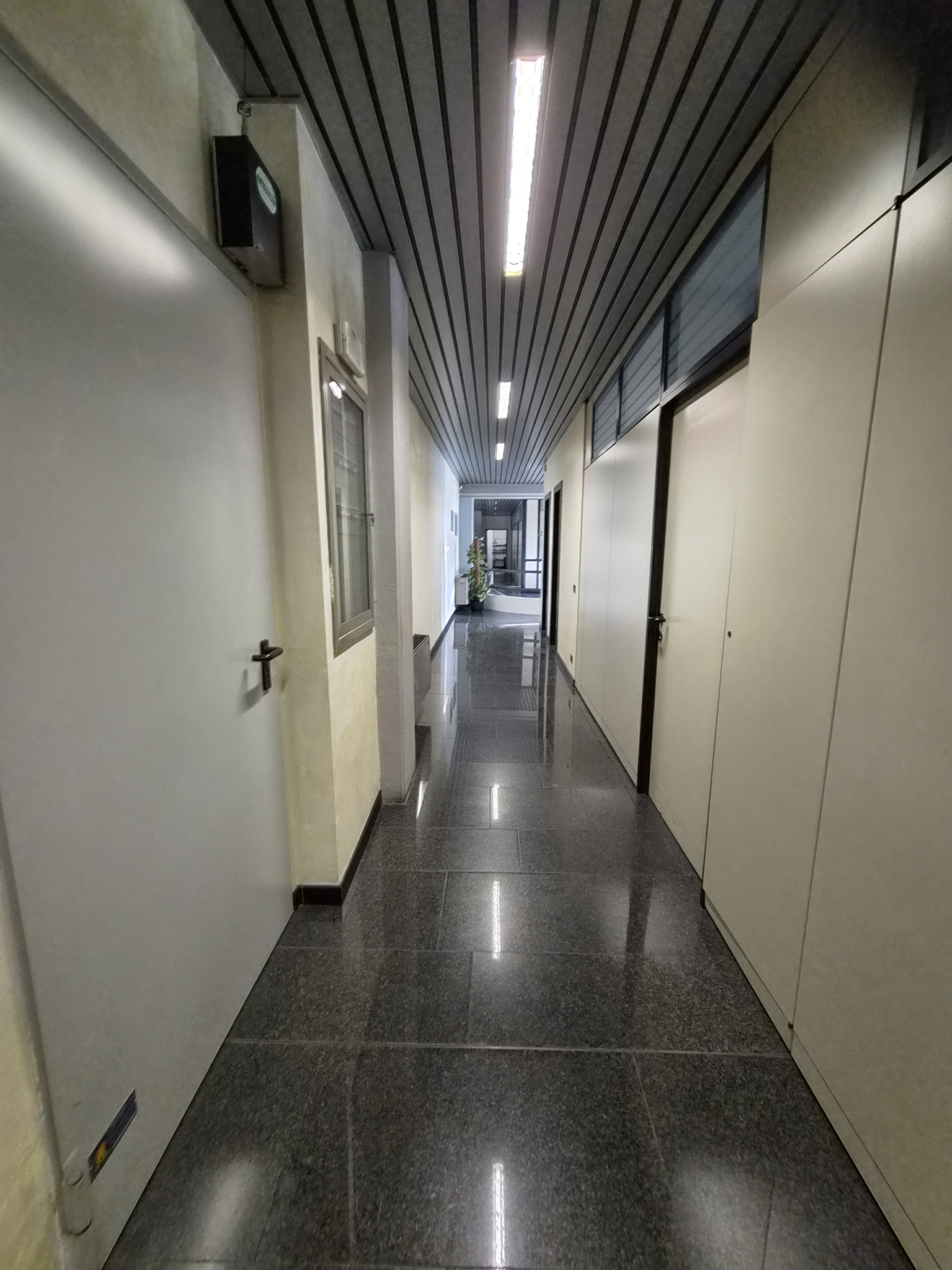 Immagine per Area verde in affitto a Lucca via Di Fontanella