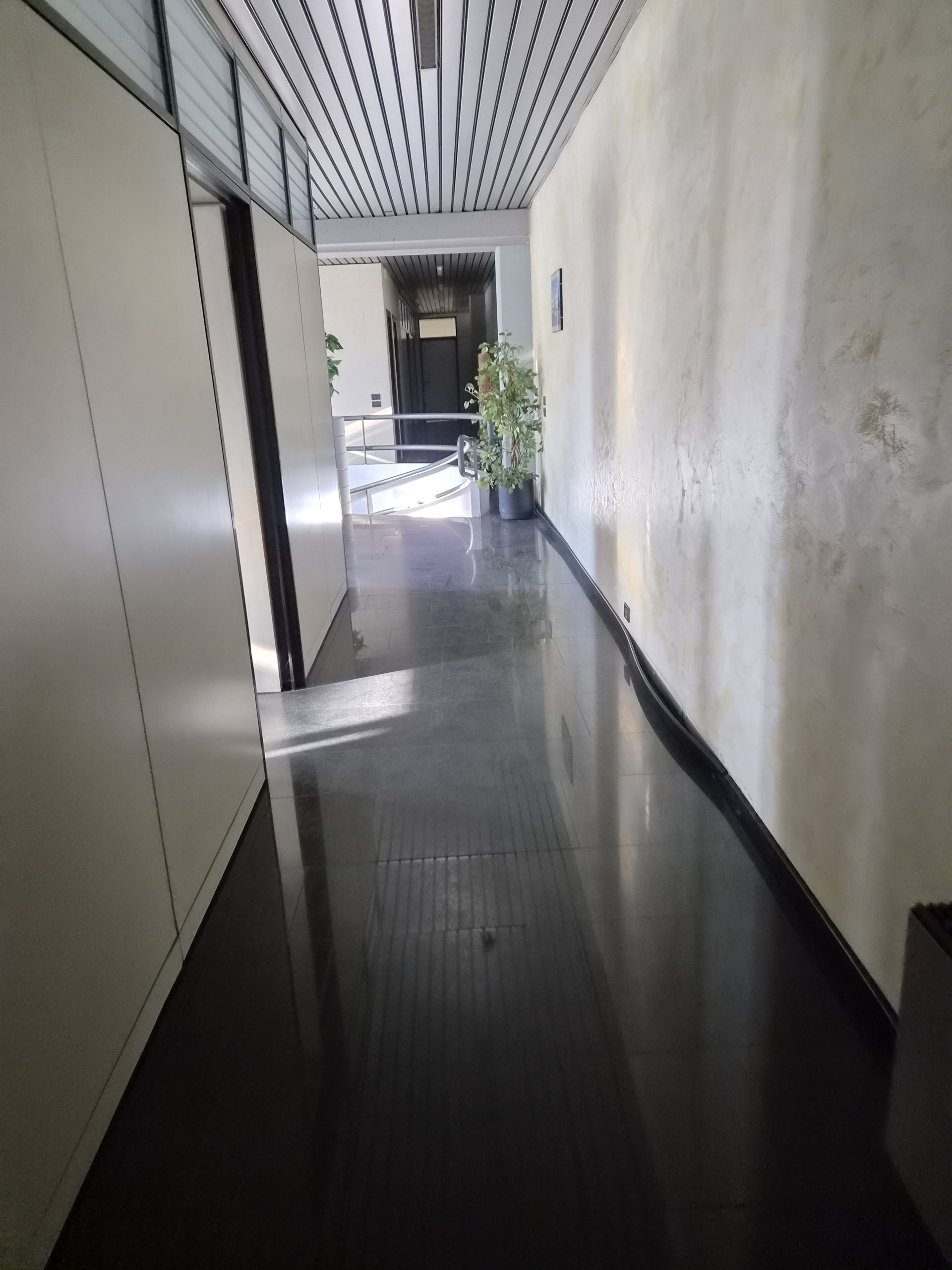 Immagine per Area verde in affitto a Lucca via Di Fontanella