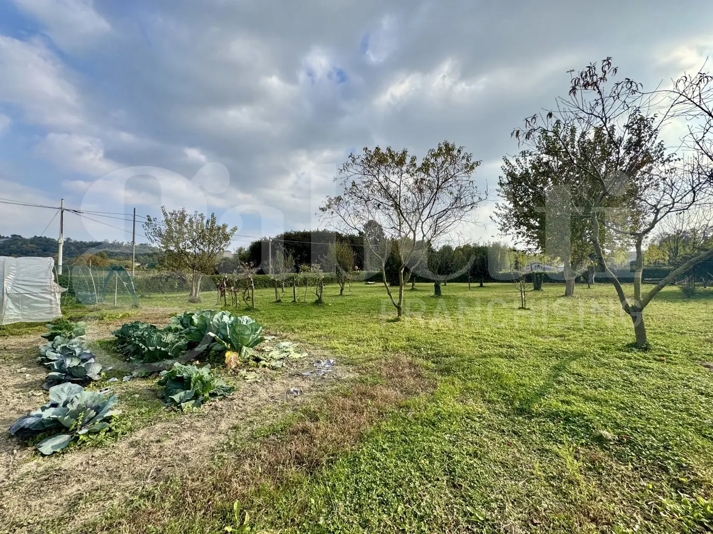 Immagine per Casa Indipendente in vendita a Moncalieri strada Vallere