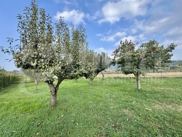 Immagine per Casa Indipendente in vendita a Moncalieri strada Vallere