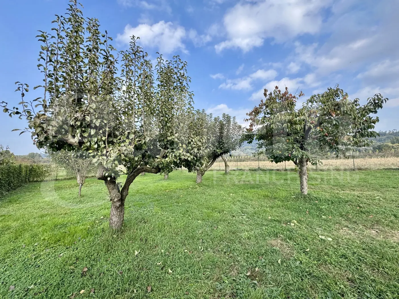 Immagine per Casa Indipendente in vendita a Moncalieri strada Vallere