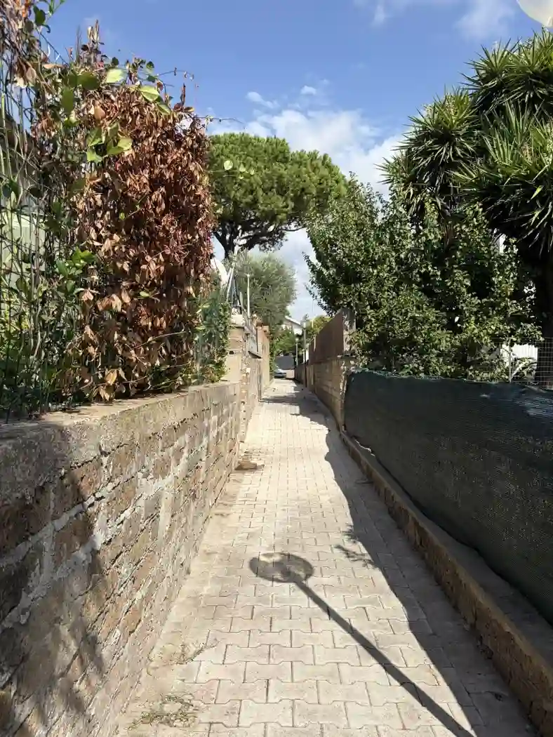 Immagine per Appartamento in vendita a Cerveteri via Domenico De Santis 58