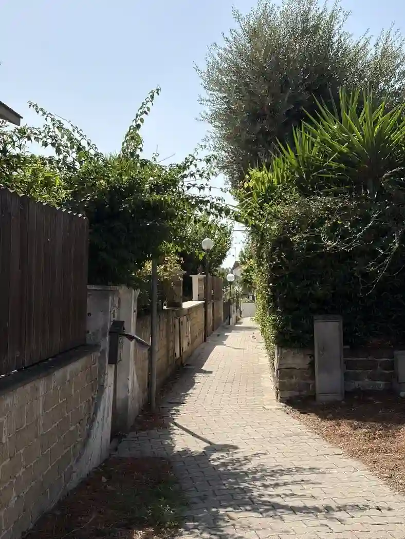 Immagine per Appartamento in vendita a Cerveteri via Domenico De Santis 58