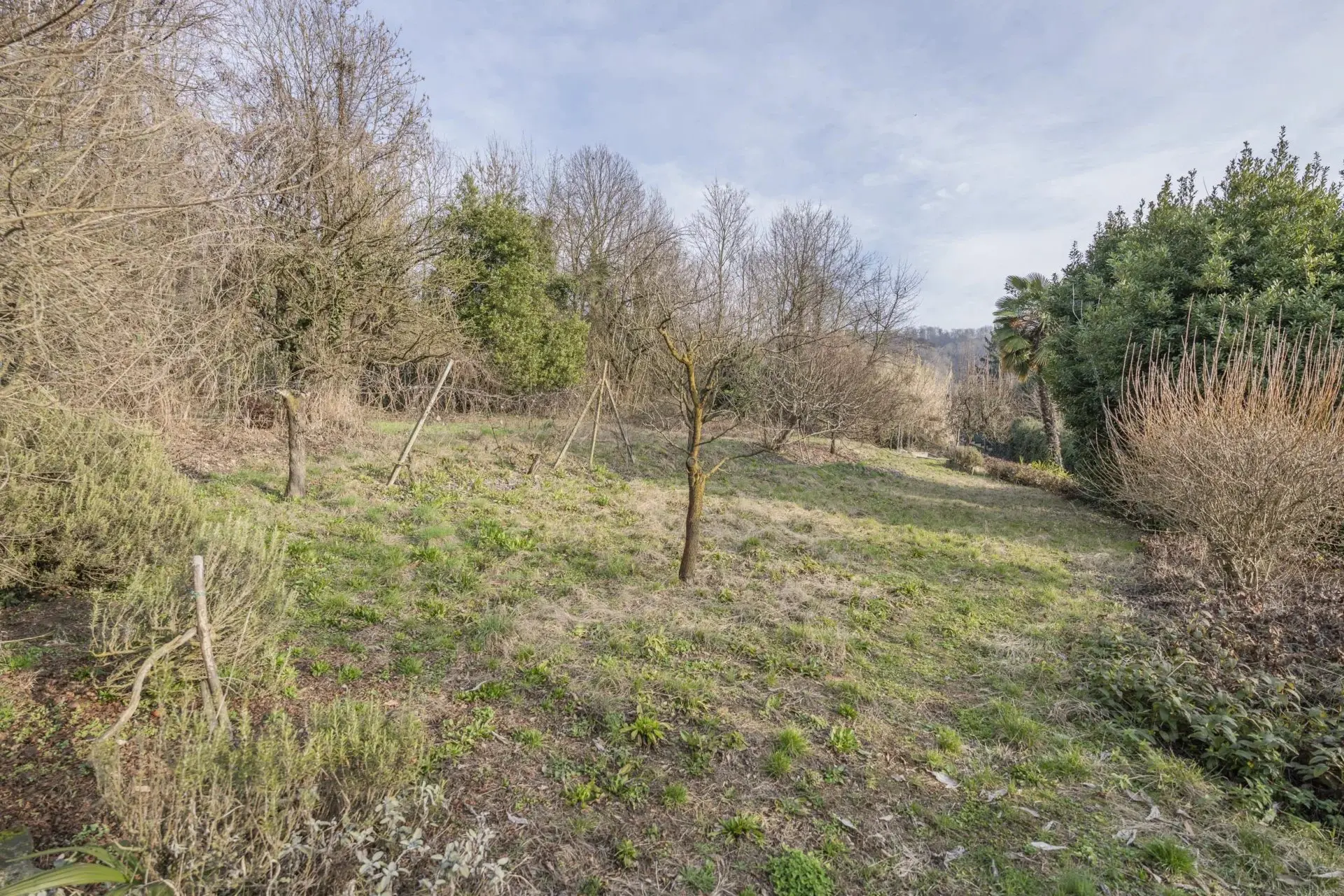 Immagine per Villa in vendita a Torino strada Della Creusa
