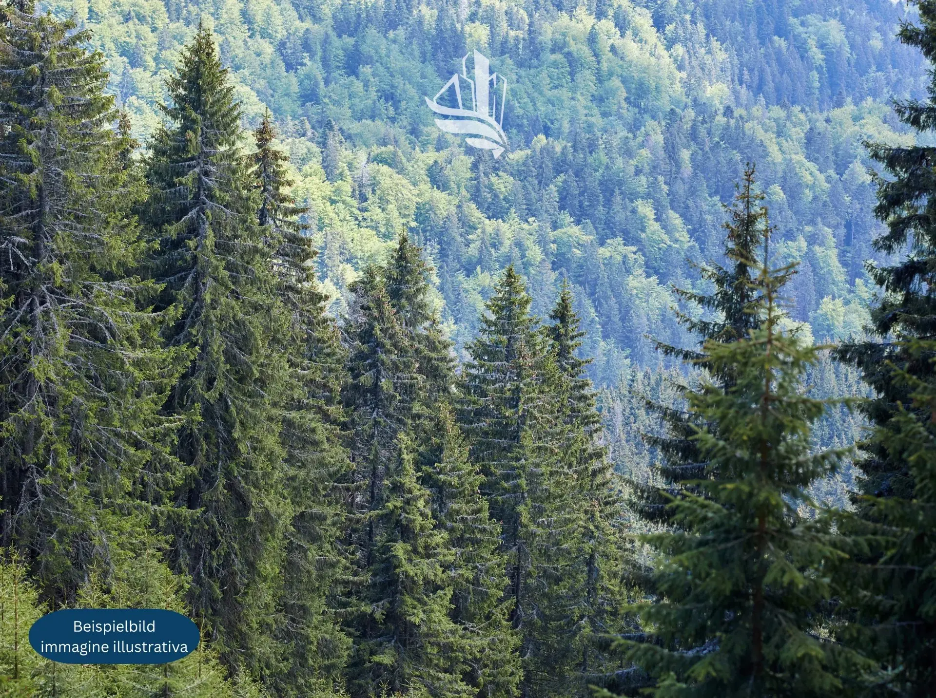Immagine per Terreno agricolo in vendita a Egna