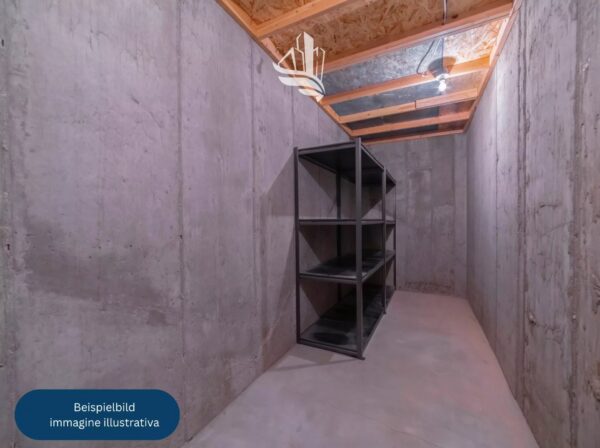 Box Bolzano
