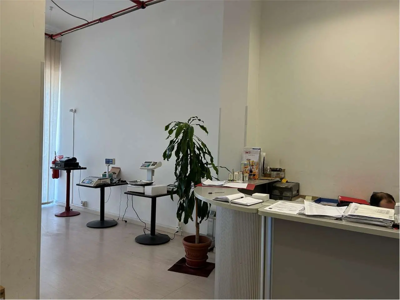 Immagine per Negozio in affitto a Torino via Renier 29