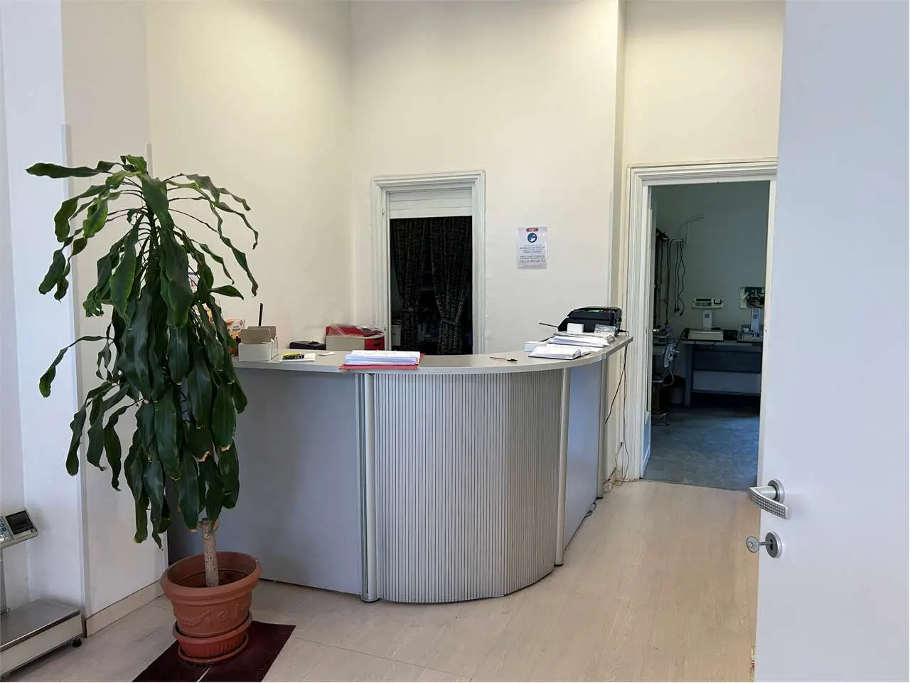 Negozio via Renier 29, Torino