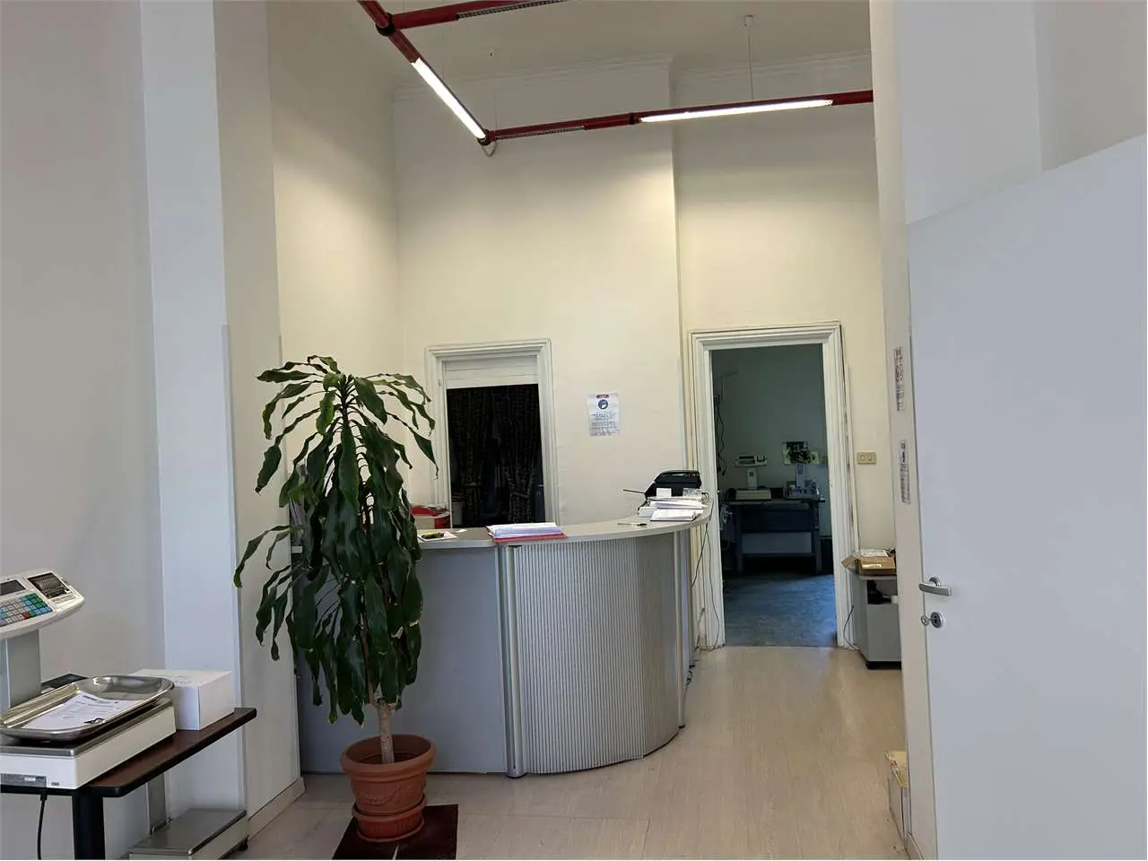 Immagine per Negozio in affitto a Torino via Renier 29