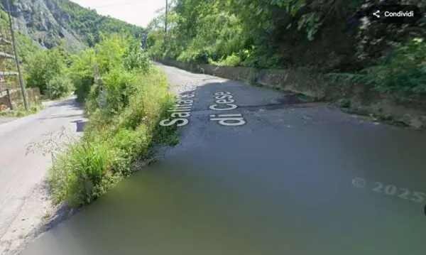 Immagine per Magazzino in asta a Genova