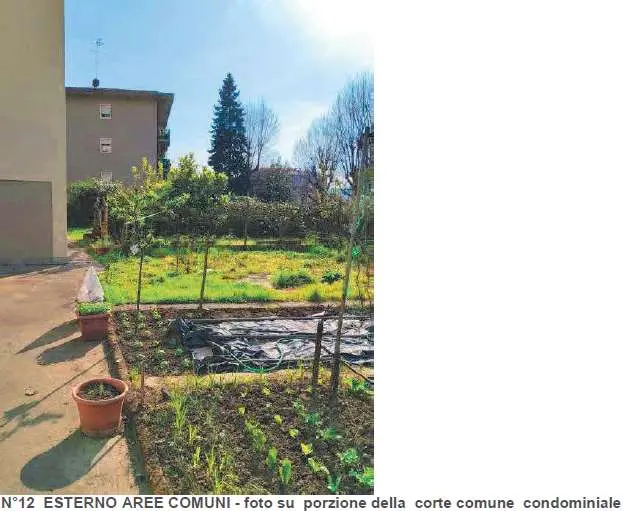 Immagine per Appartamento in asta a Sarzana via Iv Novembre 14