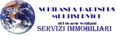 SCHIFANI & PARTNERS